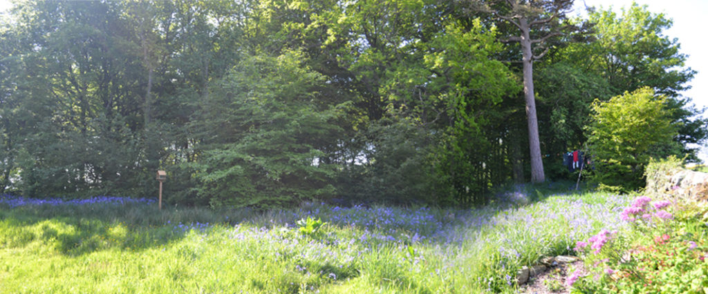 Garden rethink